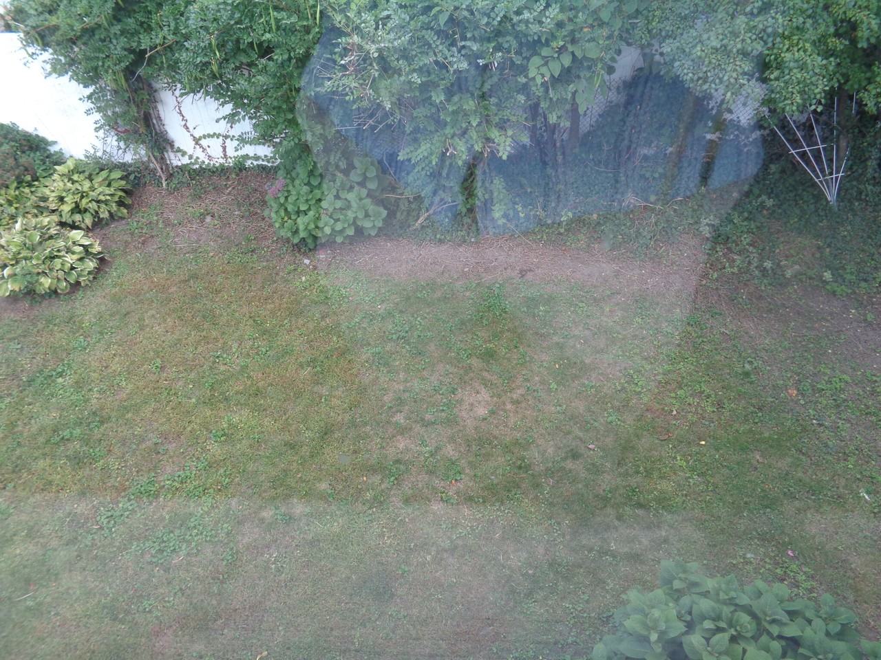 Cherry St #3 - Photo 3 of 15