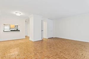 featured image of Rector Pl #4R