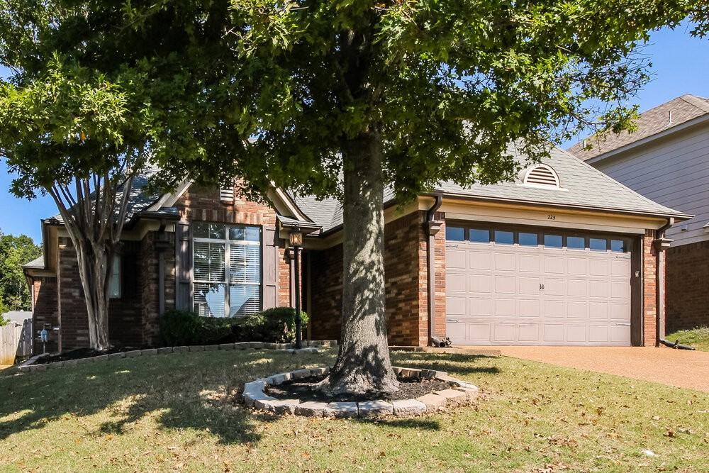 225 Birch Springs Cv - Photo 3 of 16