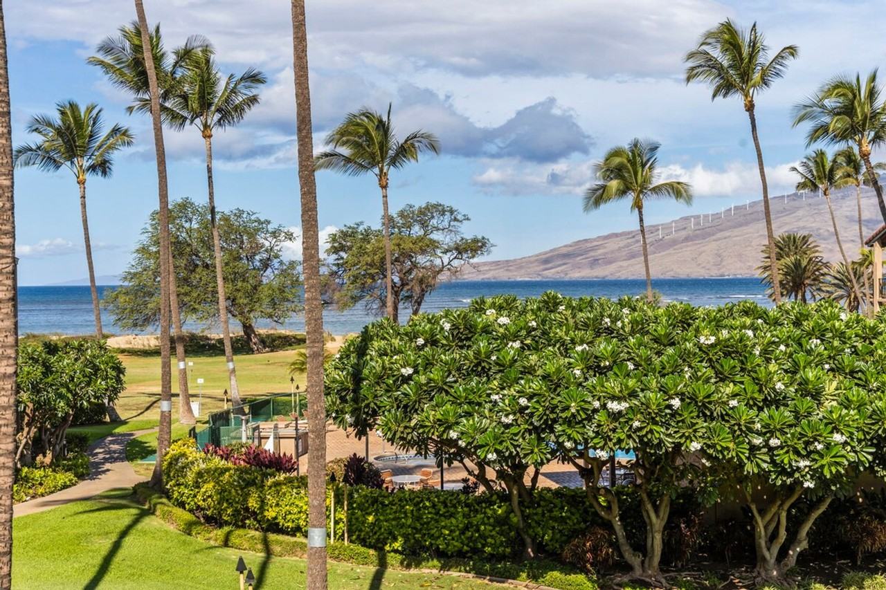 938 South Kihei Road - Photo 5 of 50