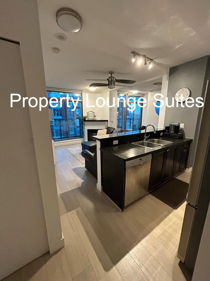 928 Richards Street - Photo 2 of 20