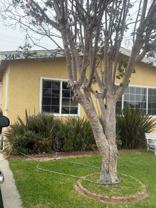 3641 E 59th Pl #B - Photo 1 of 1