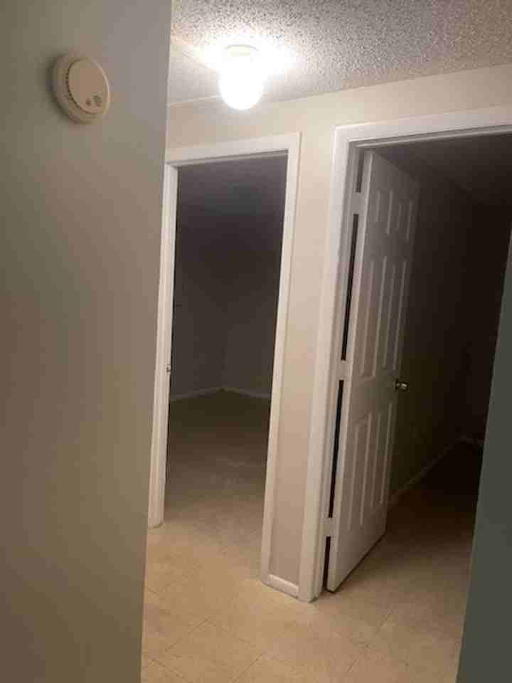7068 County Road 213 - Photo 4 of 6