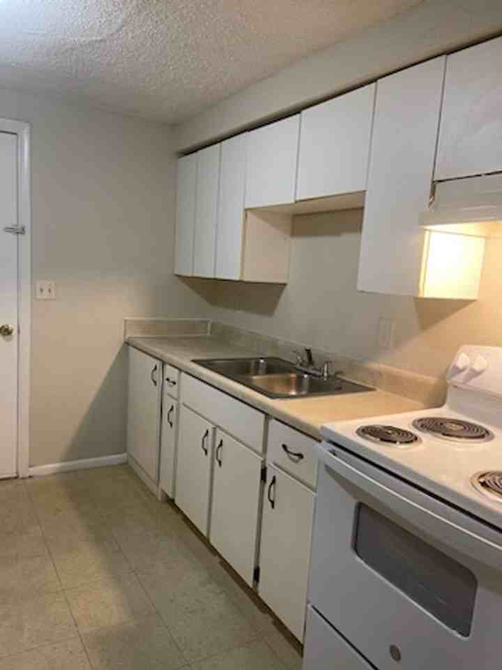 7068 County Road 213 - Photo 6 of 6