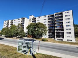 featured image of 411 Ellerdale Street #506