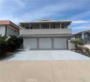 33775 Golden Lantern ##A - Photo 1 of 1