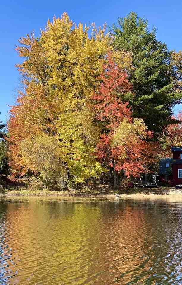 19 Mirror Lake Drive - Photo 7 of 27