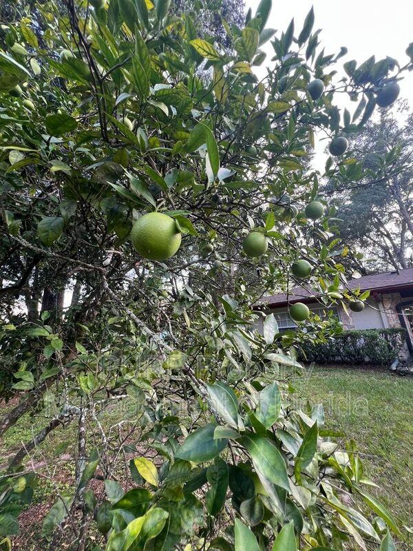 1362 West Alexander Drive - Photo 5 of 50