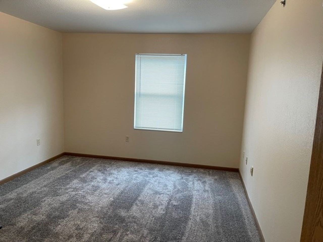 310 Cedar St - Photo 7 of 30