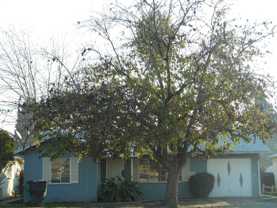 808 N Rinaldi St - Photo 1 of 1