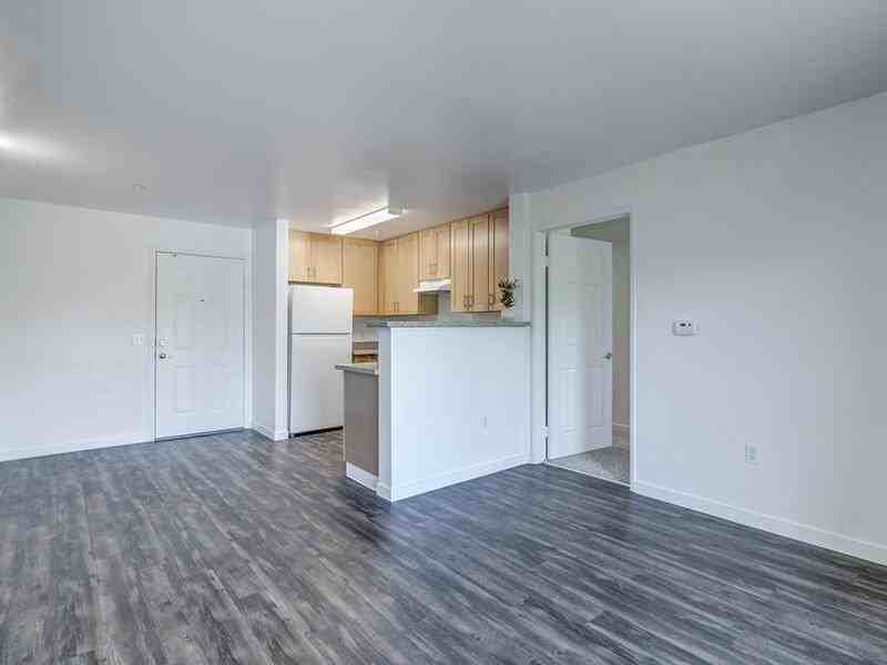 445 Redwood Street - Photo 3 of 5