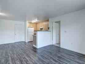 445 Redwood St - Photo 1 of 1