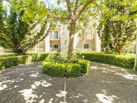 445 Redwood St - Photo 1 of 1