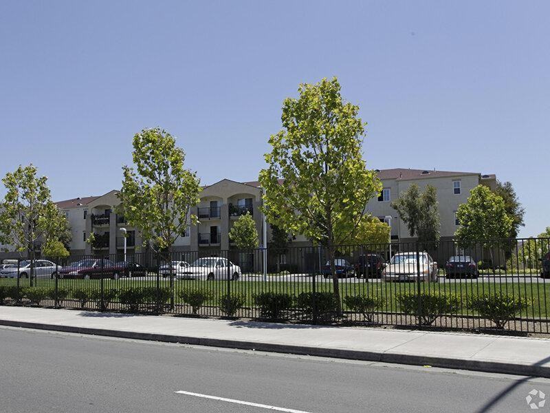 445 Redwood St - Photo 3 of 43