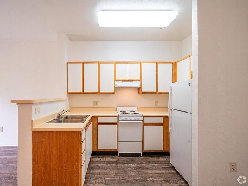 445 Redwood St - Photo 3 of 6