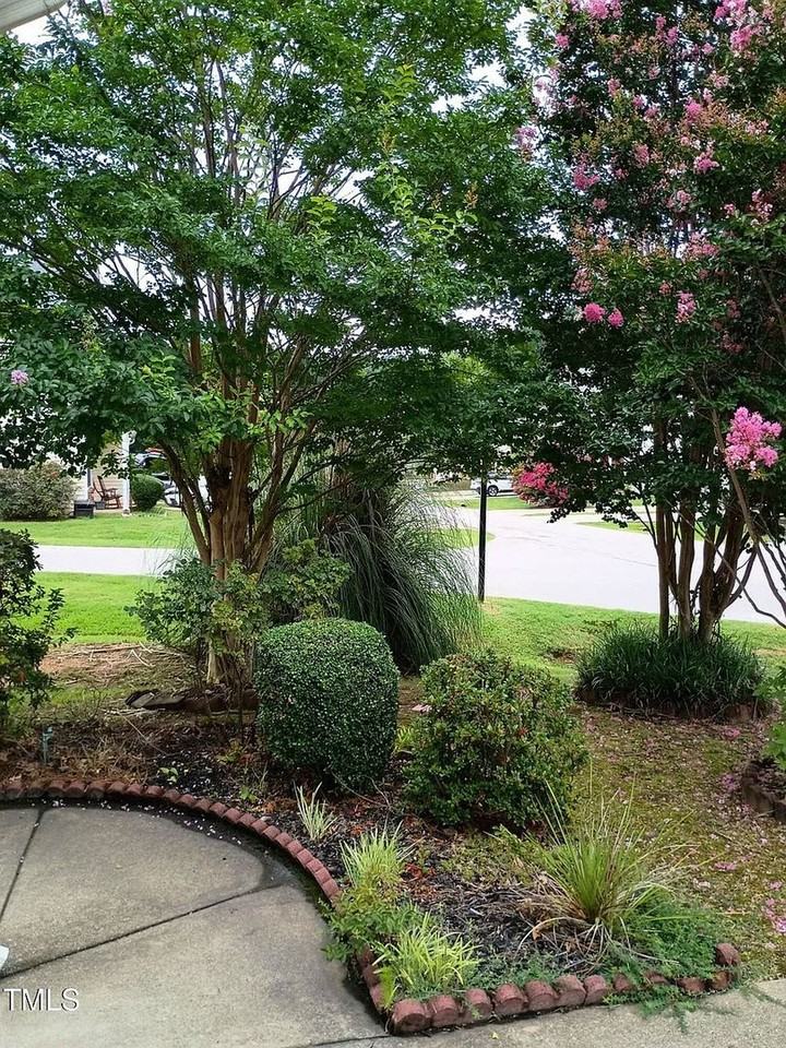 524 Woodson Dr - Photo 4 of 37