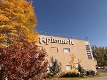 Pinnacle Apartments - Photo 1 of 1