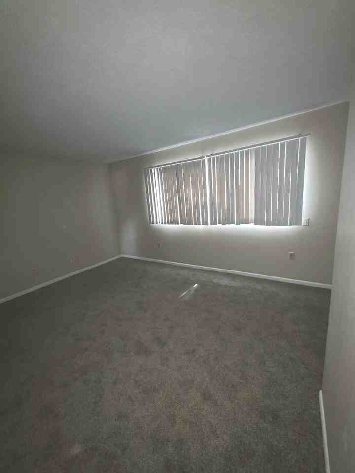 Southroads Apartments - Photo 6 of 19