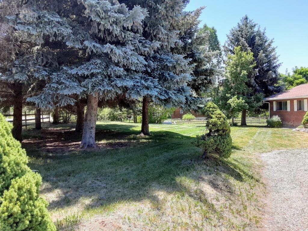 10295 S Highway 165 - Photo 4 of 17