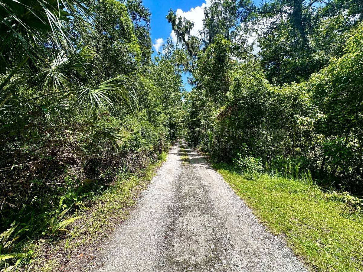 2325 Salt Creek Trl - Photo 3 of 10