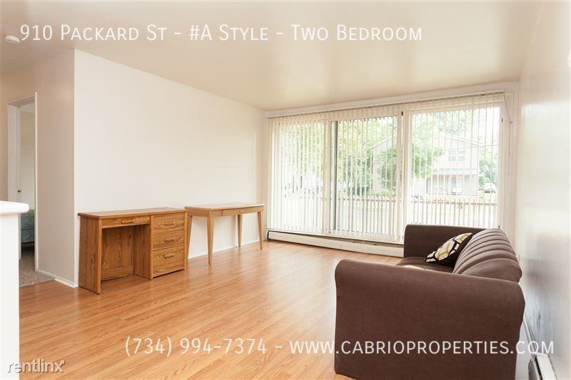 910 Packard St. - Photo 2 of 23