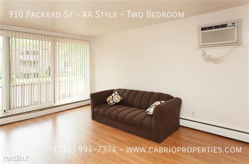 910 Packard St. - Photo 4 of 23