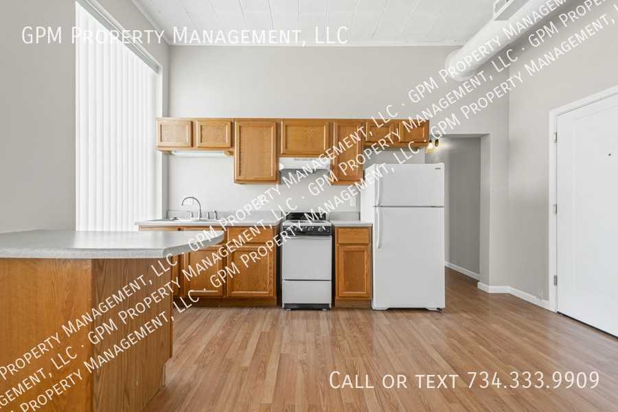 412 Grand River Avenue #10 - Photo 3 of 20