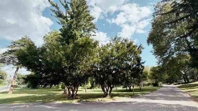 89 Richmond Hill Rd - Photo 3 of 17