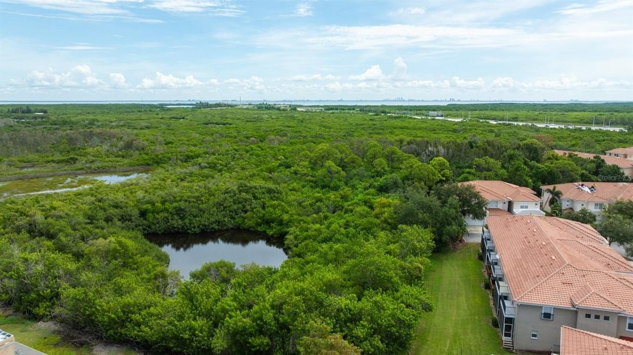 277 Valencia Circle - Photo 3 of 50