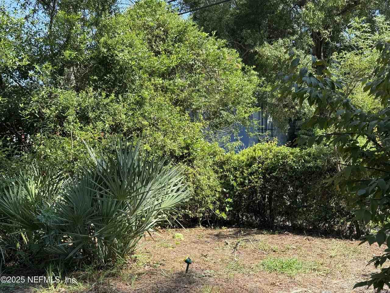 4713 Kingsbury St - Photo 3 of 50