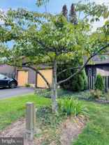 60 Jacob Ct - Photo 1 of 1