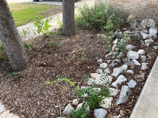 8011 Rio Niebla - Photo 3 of 16