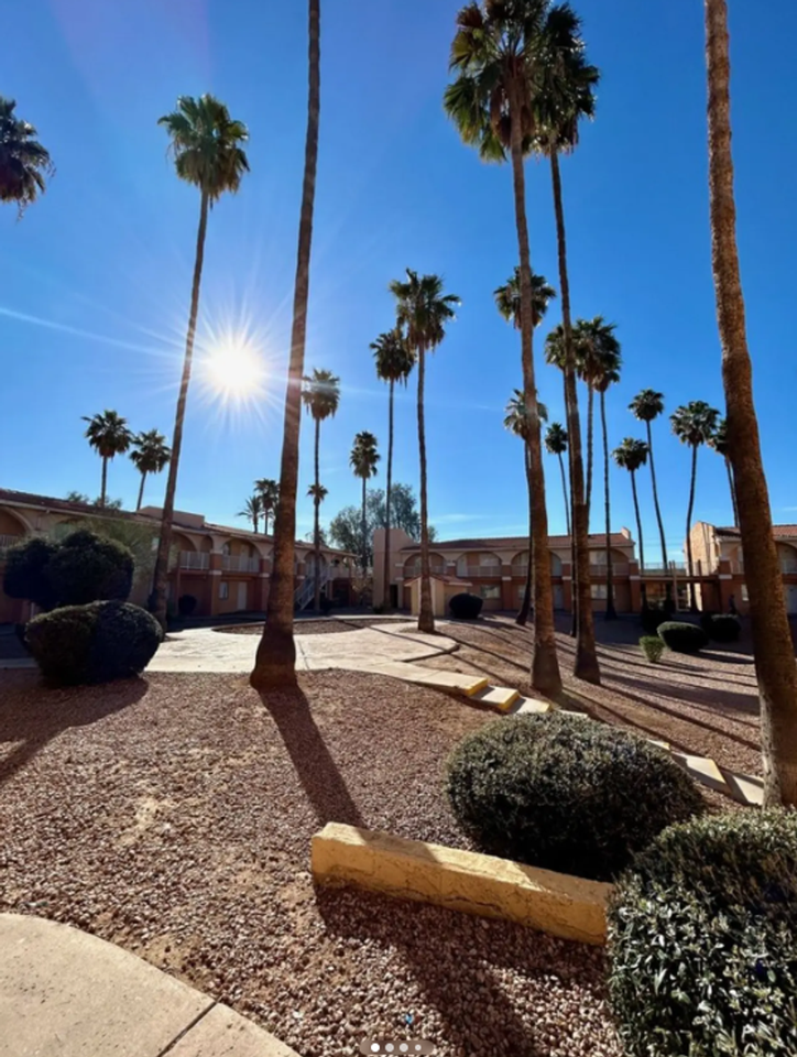 Buenas on Thunderbird - Photo 6 of 32