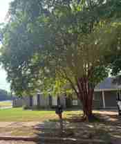 2543 Hargrove Ave - Photo 1 of 1