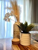 featured image of 16587 100 St Nw