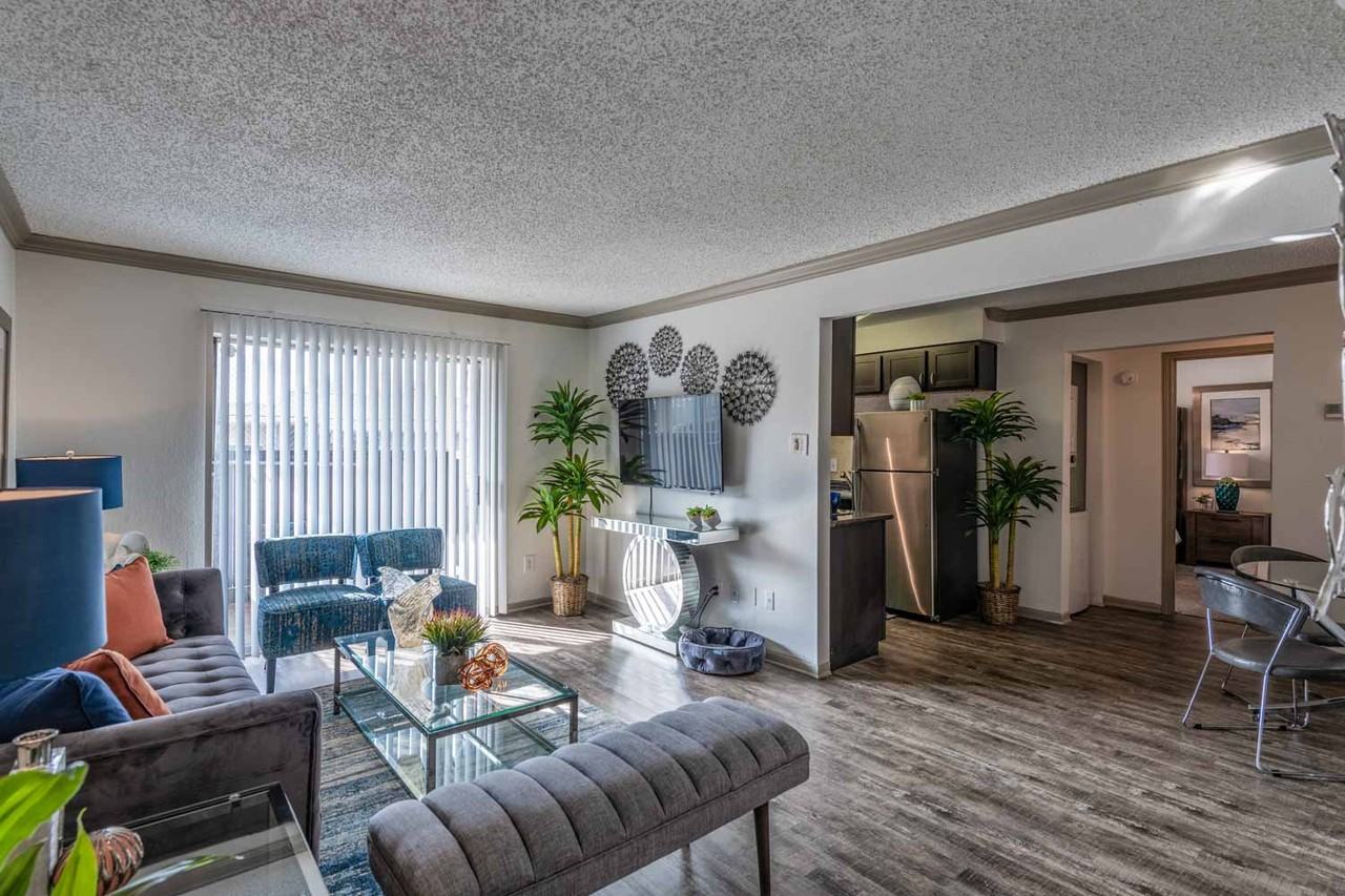 Sunset Shadows - Photo 4 of 28