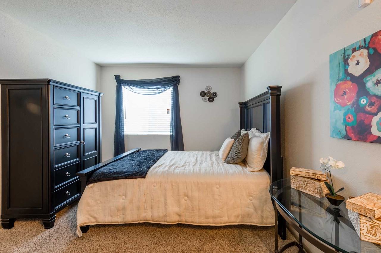 The Landing at Westchase - Photo 6 of 17