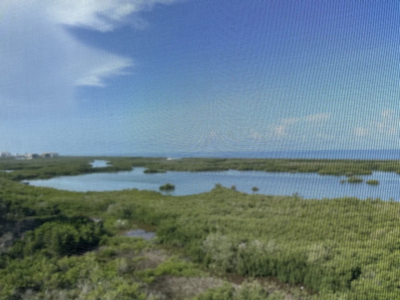 1001 Arbor Lake Dr #0000 - Photo 4 of 50