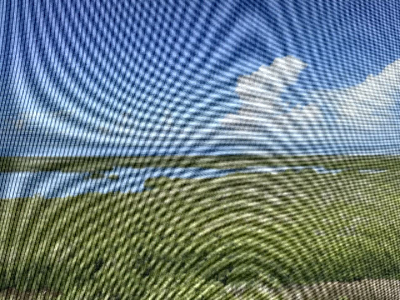 1001 Arbor Lake Dr #0000 - Photo 5 of 50