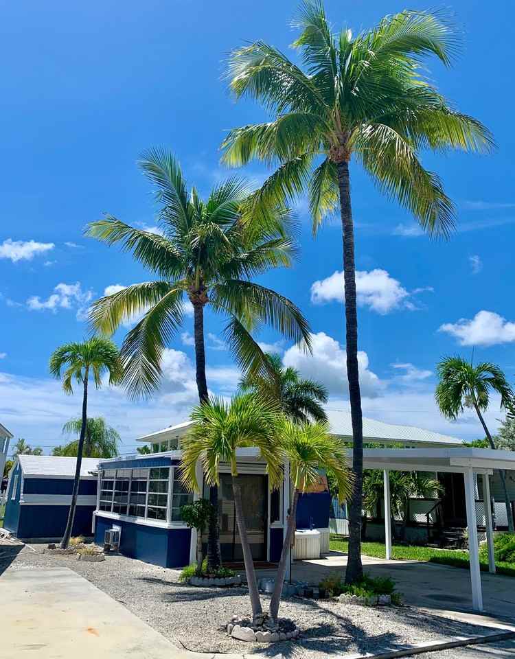 55 Boca Chica Rd #459