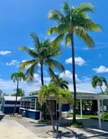 featured image of 55 Boca Chica Rd #459
