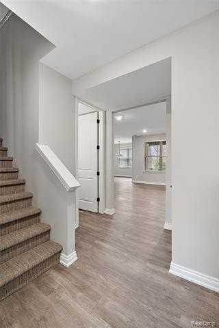 11382 Langfeld Spur - Photo 6 of 47