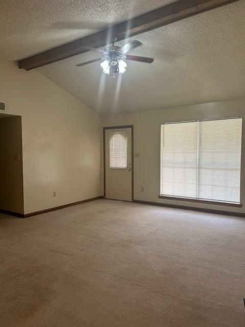 Kim Lane 14 - Photo 2 of 8