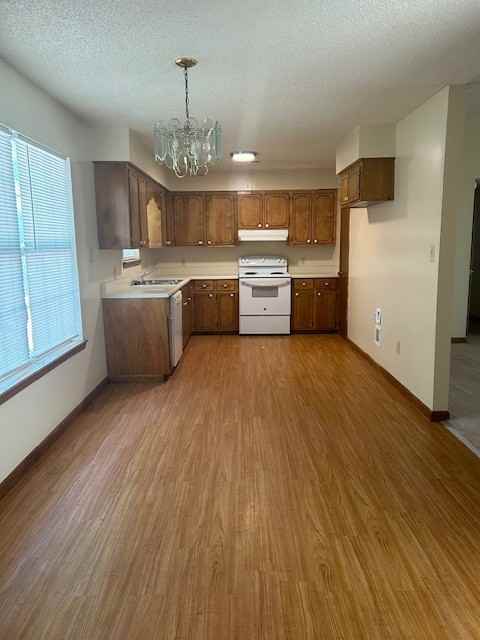 Kim Lane 14 - Photo 3 of 8