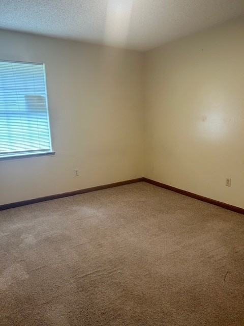 Kim Lane 14 - Photo 4 of 8