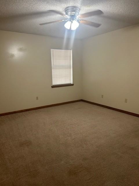 Kim Lane 14 - Photo 7 of 8