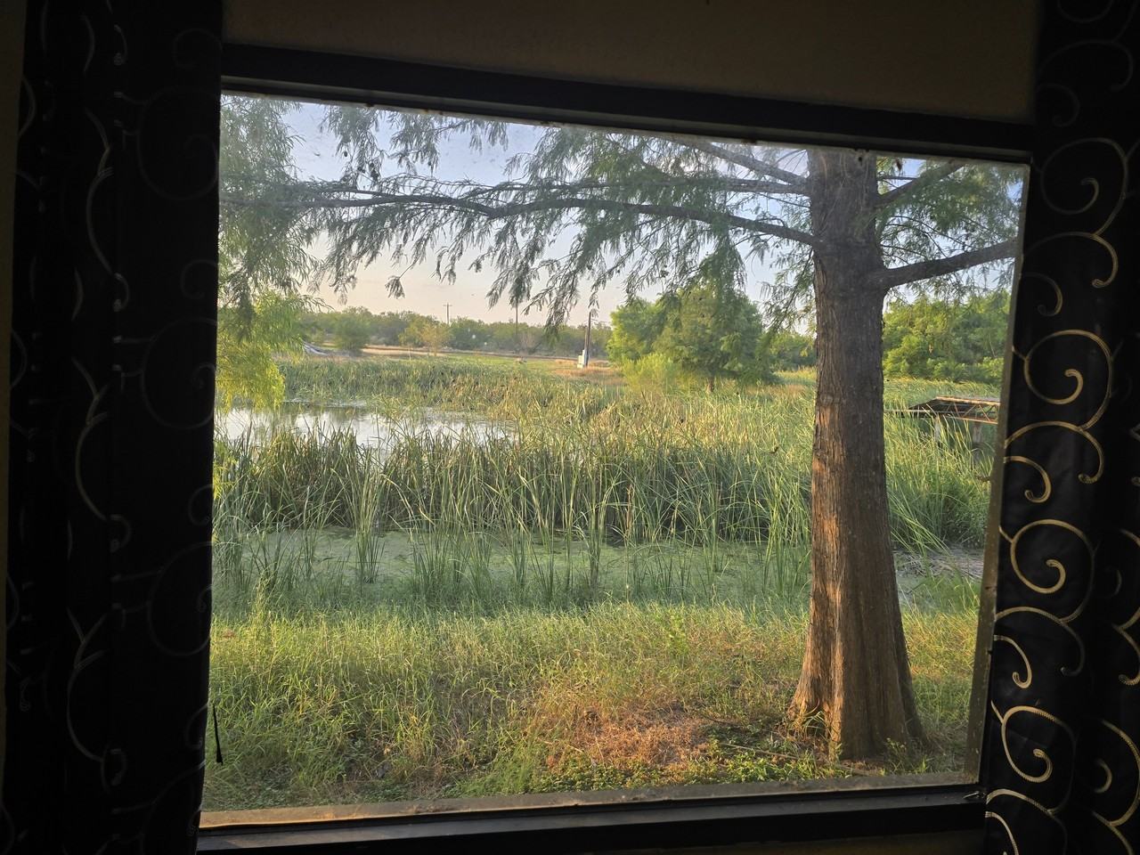 Charlotte Gardens - Photo 2 of 50