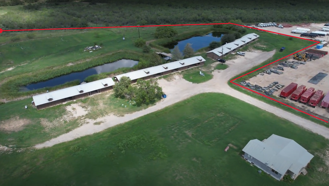 Charlotte Gardens - Photo 7 of 50