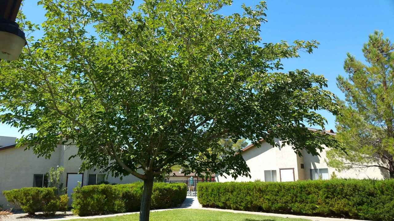 840 East Ridgecrest Boulevard #32 - Photo 4 of 7