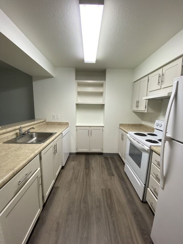 Springbrook Village Apartments (SVA) - Photo 5 of 23